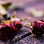delaying divorce
