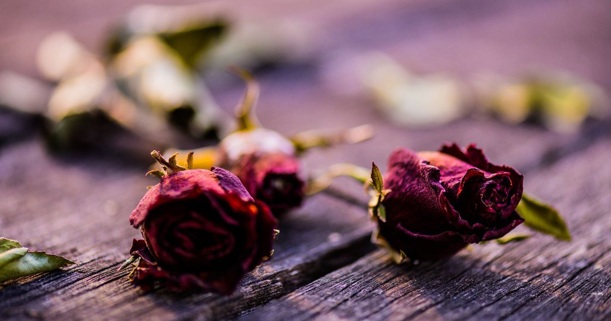 delaying divorce