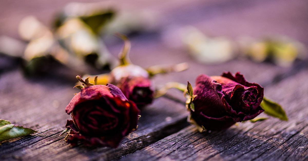 How The Roses Shows the Risks of Waiting Too Long to Leave an Unhappy Marriage